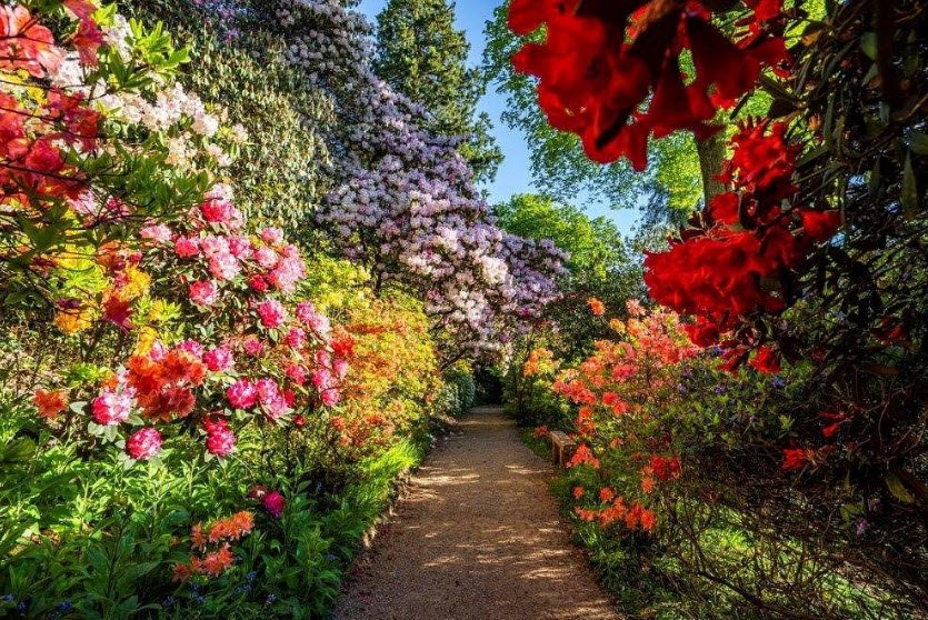 Leonardslee Lakes & Gardens, United Kingdom